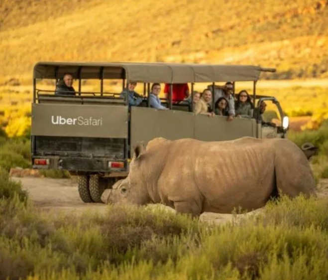 FRICA DO SUL ANUNCIA UBER SAFARI