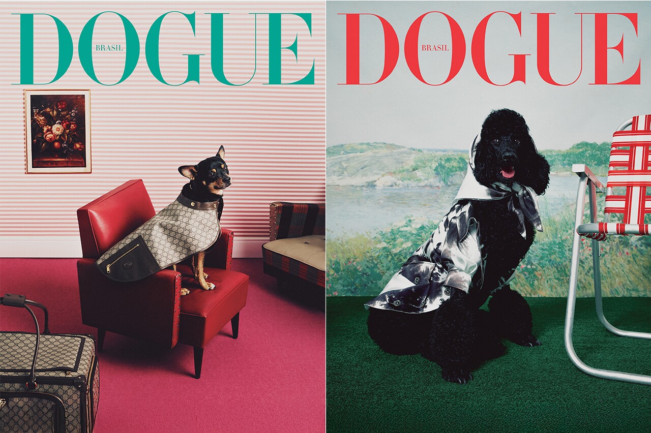 VOGUE BRASIL LANÇA DOGUE, REVISTA SOBRE O UNIVERSO PET