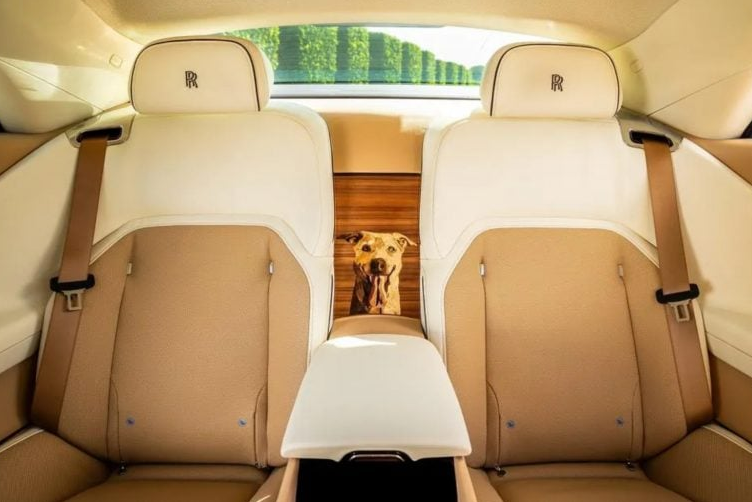 ROLLS-ROYCE ENTREGA CARRO DE LUXO EM MEMÓRIA A ANIMAL DE ESTIMAÇÃO