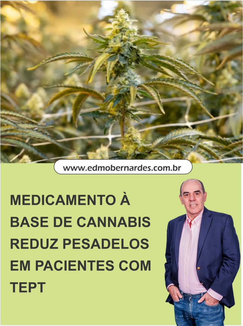MEDICAMENTO � BASE DE CANNABIS REDUZ PESADELOS EM PACIENTES COM TEPT