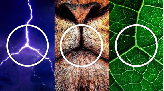 MERCEDES-BENZ USA ELEMENTOS DA NATUREZA PARA COMUNICAR SUA TRANSI��O PARA CARROS EL�TRICOS