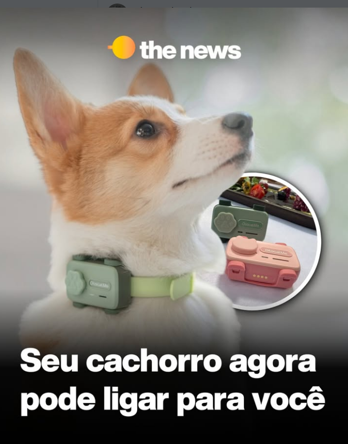 SEU CACHORRO AGORA LIGA PARA VOC�.